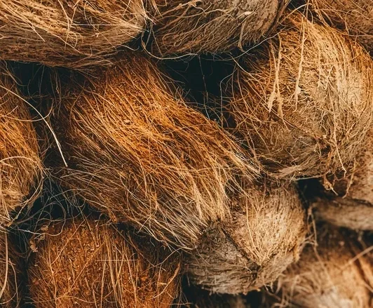 garen gemaakt van kokosnoten. van kokosafval kun je kleding maken. kleding gemaakt van kokoksnoten is heel bijzonder en innovatief. haren van de kokosnoot, kokosgaren en kokoskleding. New Angels duurzame kleding is innovatief en natuurlijk.