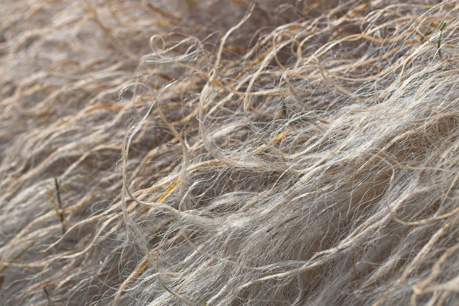New Angels duurzame kleding, een modemerk uit Nederland ontworpen en geproduceerd  in nederland, door eigenaresse Ingrid de Haan. Ramie duurzame stof, ramee biologische stof, ramie is een natuurlijke stof voor  kleding, ramie mode, ramie kleding, ramee mo