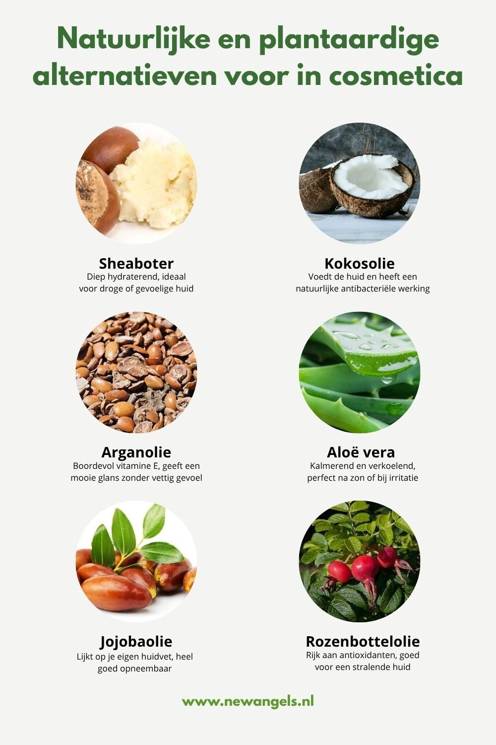 Natuurlijke en plantaardige ingrediënten winnen snel aan populariteit in cosmetica als alternatief voor synthetische stoffen en dierlijke ingrediënten. Deze alternatieven bieden hydratatie, verzorging en effectieve actieve bestanddelen zonder gif vergif