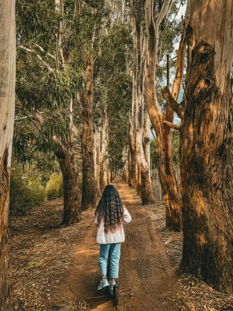 Kleding gemaakt van Lyocell. New Angels duurzame kleding blog. Wat is tencel eucalyptus? Is TENCEL beter dan katoen? Is TENCEL zweterig? Is TENCEL een goede stof? Wat zijn de nadelen van Tencel? Is TENCEL en lyocell hetzelfde? Is tencel een gezonde stof 