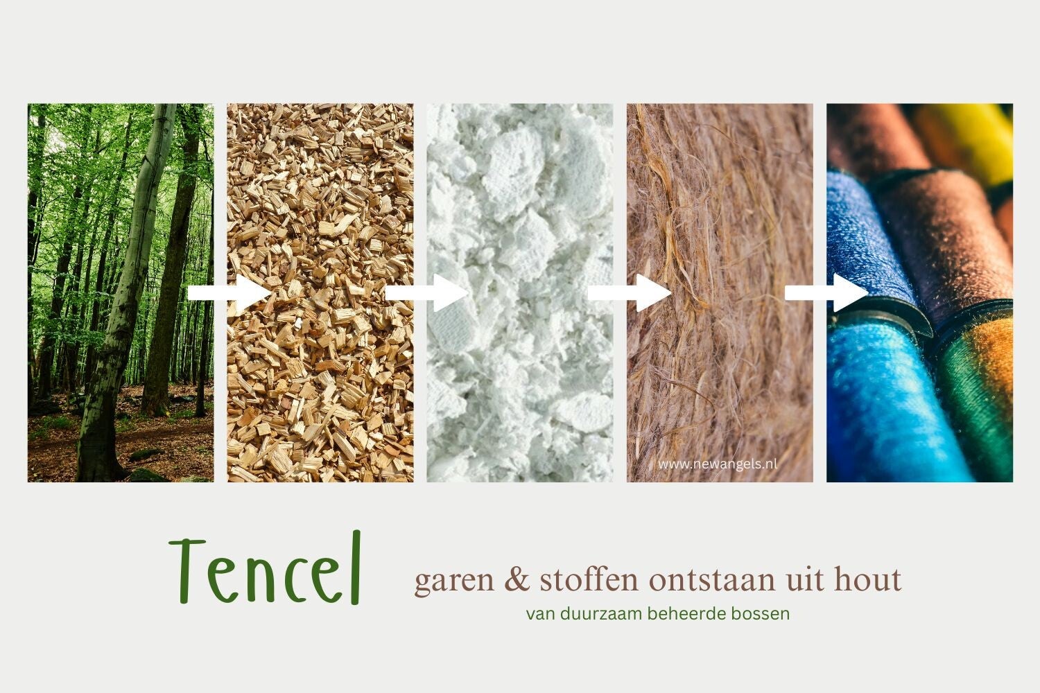 Kleding gemaakt van bomen. tencel fabric, tencel lyocell, lees onze blog over tencel en lyocell kleding. lyocell mode is gemaakt van  bomen. de eucalypusboom wordt gebruikt voor tencel. houtpulp wordt door een spindop geperst en vormt draden. deze draden 