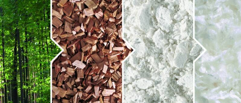 Kleding gemaakt van bomen. tencel fabric, tencel lyocell, lees onze blog over tencel en lyocell kleding. lyocell mode is gemaakt van  bomen. de eucalypusboom wordt gebruikt voor tencel. houtpulp wordt door een spindop geperst en vormt draden. deze draden 