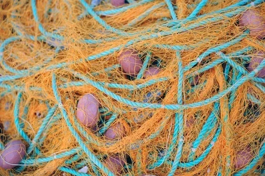 Sea First Foundation en New Angels Eco fashion |plastcvrij , plasticfree, zonder plastic, zero waste handmade kleding en sieraden, duurzame merken webshop webwinkel, sea zee ocean oceaan zeehond zeehondje New Angels mode en duurzame kleding oceanfriendly 