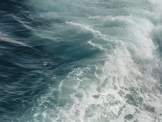 Sea First Foundation en New Angels Eco fashion | duurzaam en het beste voor mens en dier, red de oceaan, save the ocean, milieuvriendelijke en biologische kleding, duurzaam kledingmerk sieraden, zero waste, plasticfree, plasticvrij, zonder plastic, geen p