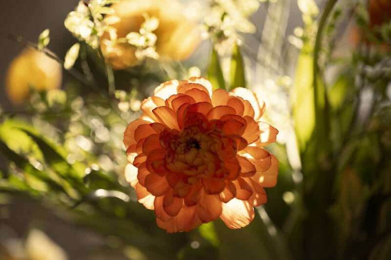 bkn_6046-standard.jpg