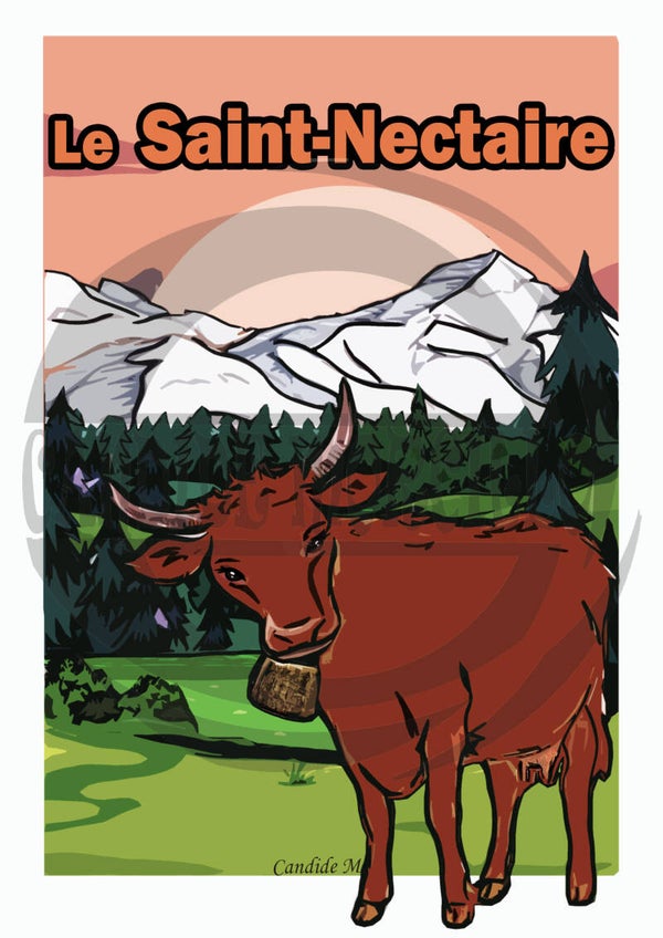 Le St-Nectaire