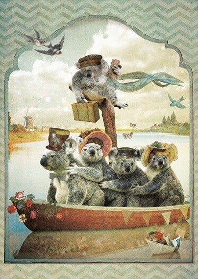 Ansichtkaart 'Koala`s'