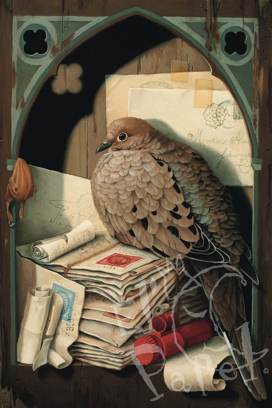 'Postduif' - wenskaart met envelop