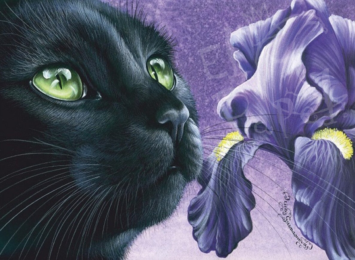 Ansichtkaart 'Donkere Iris'