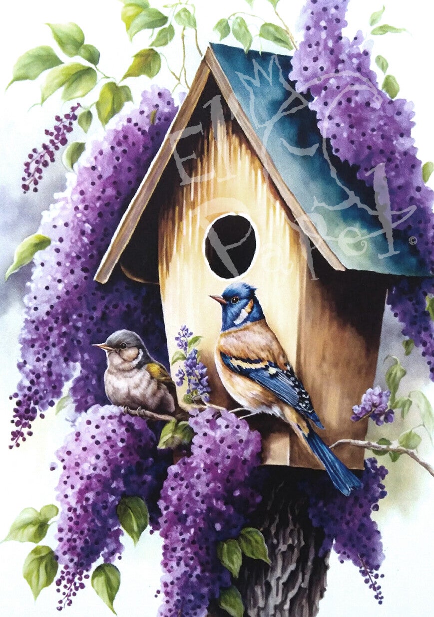 Ansichtkaart 'Vogelhuisje tussen de seringen'