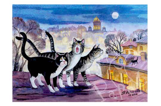 Ansichtkaart 'Maartse katten'