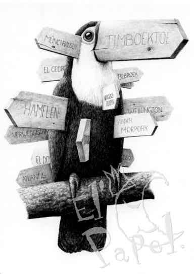 Kunstkaart 'Toucan wegwijzer' (605)