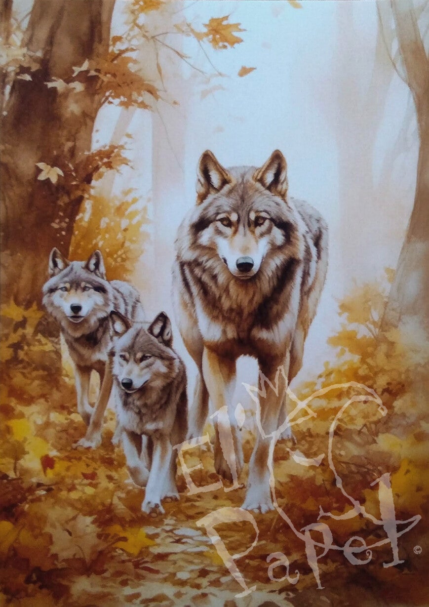 Ansichtkaart 'Wolvenfamilie in het herfstbos'