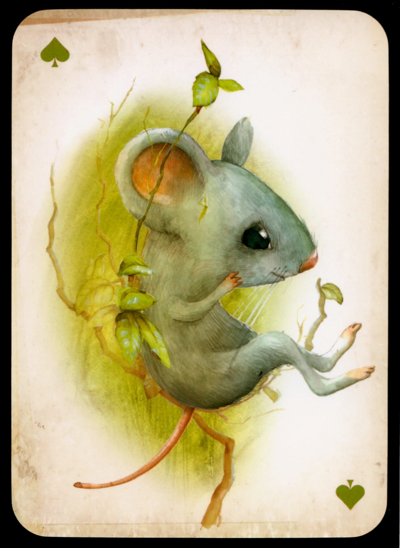 Ansichtkaart 'Muis - schoppen aas'