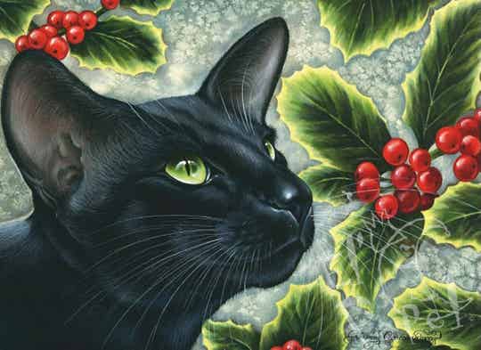 Ansichtkaart 'Hulst'