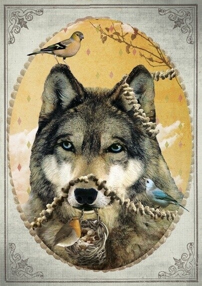 Ansichtkaart 'Wolf'