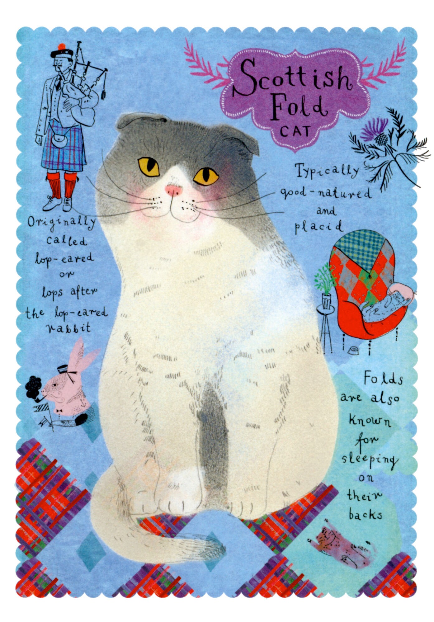 'Schotse vouwoorkat' grote ansichtkaart Marianna Styma