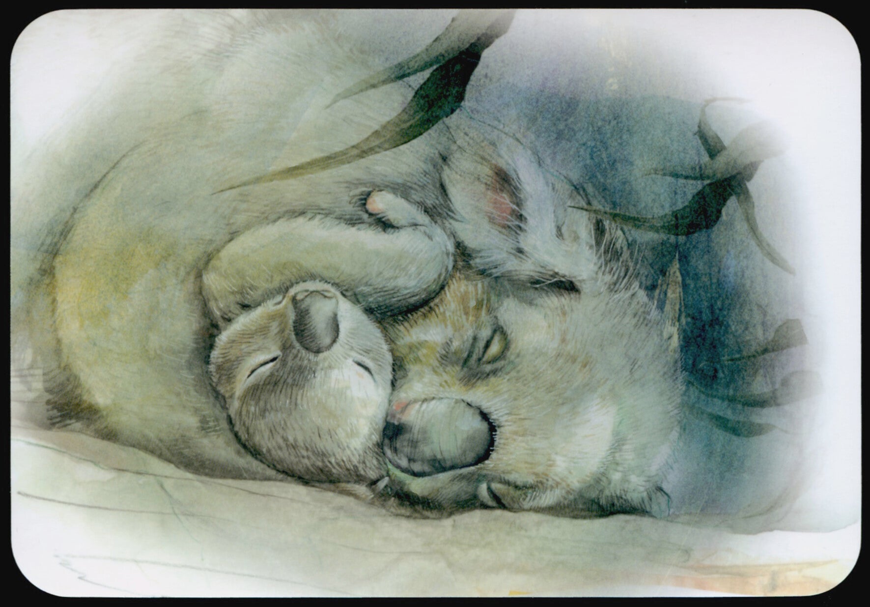 Ansichtkaart 'Koala met kind'