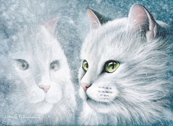 Ansichtkaart 'IJzig venster'