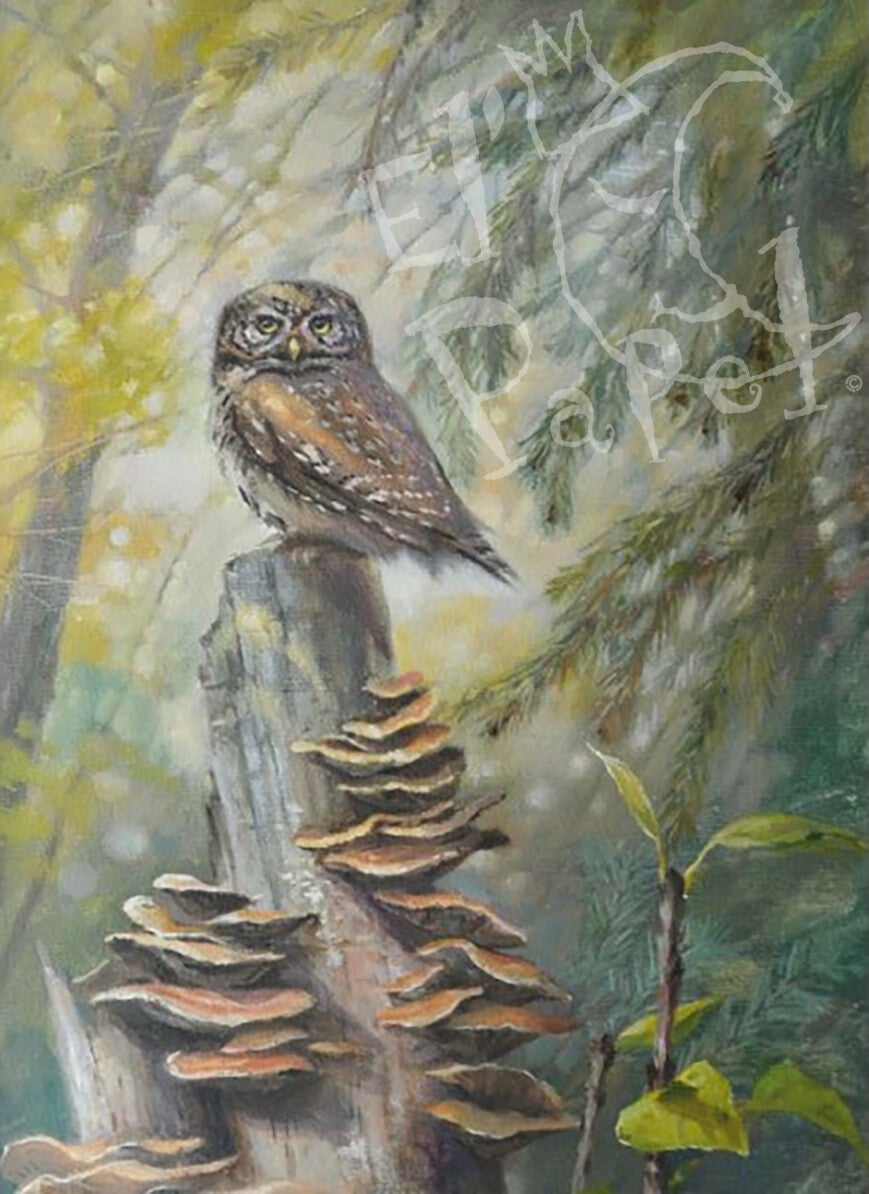 Ansichtkaart 'Uiltje op stammetje'