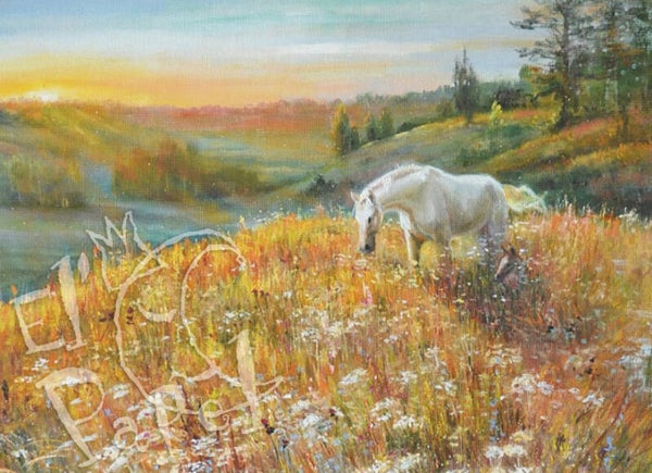 Ansichtkaart 'In het gouden licht'