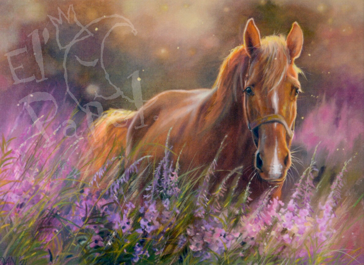 Ansichtkaart 'Paard in het paars'