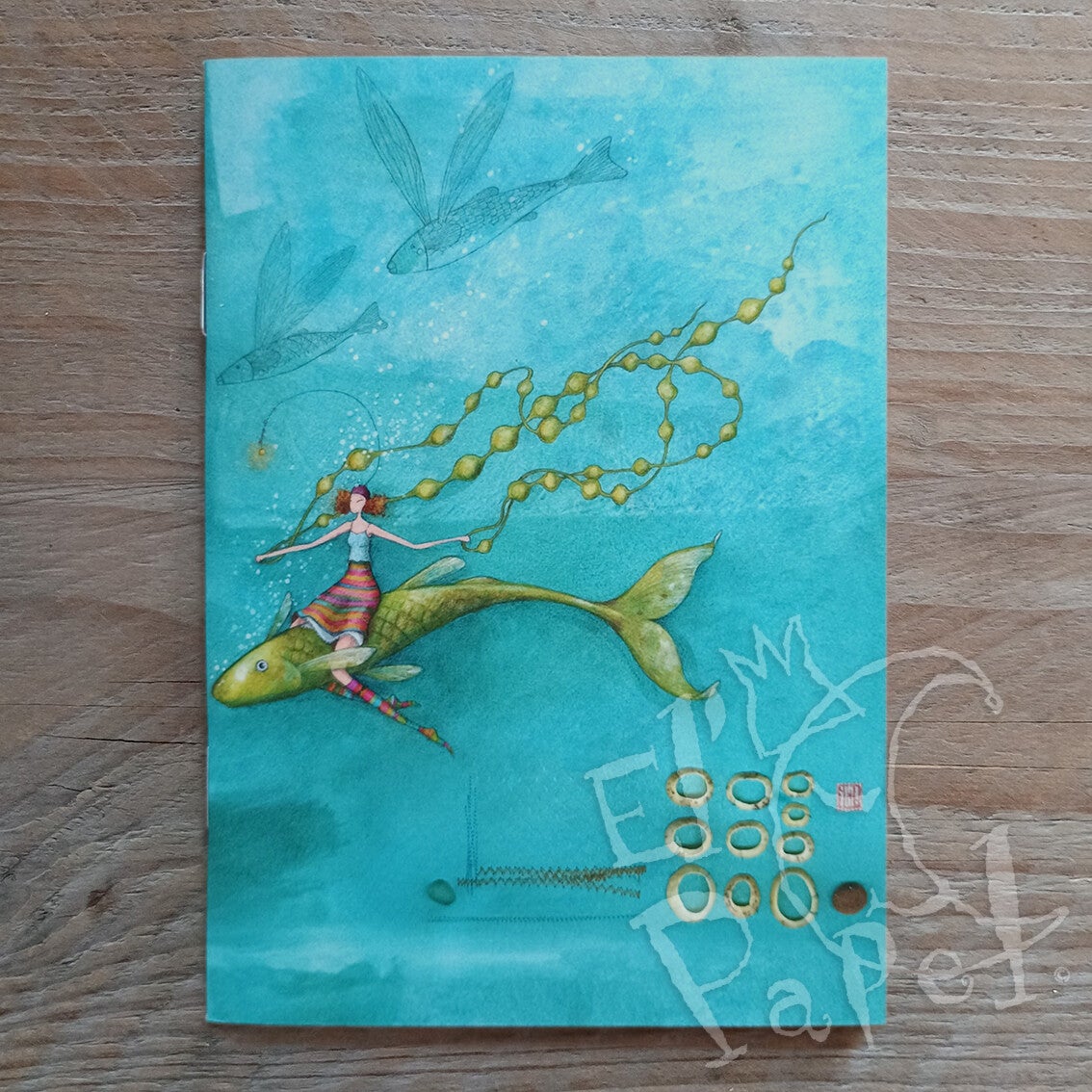 A6 schriftje 'Visvaart' - Gaëlle Boissonnard