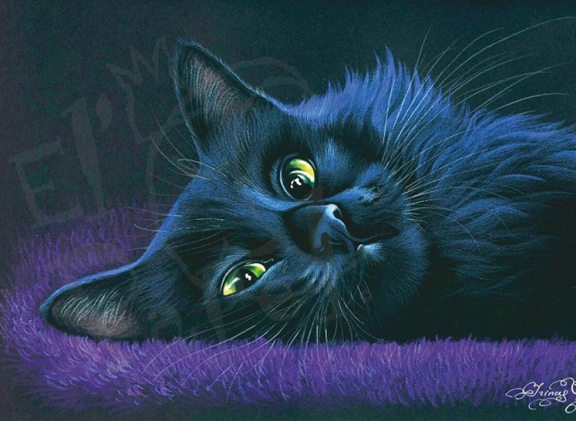 Ansichtkaart 'Dagdromer'