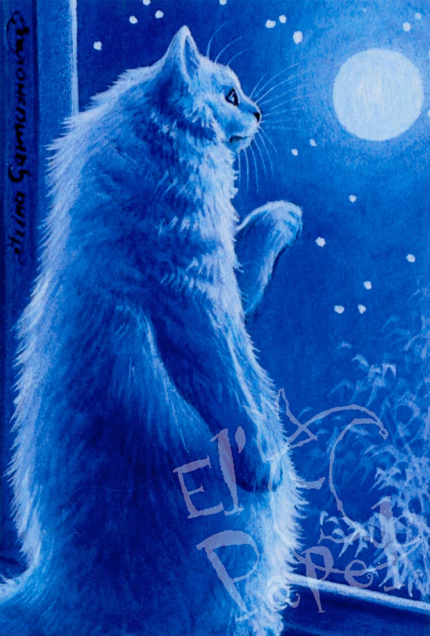 Ansichtkaart 'Volle maan'