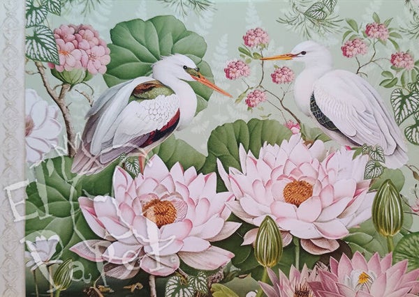 GT Ansichtkaart 'Kraanvogels'