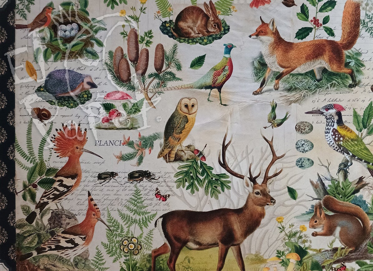 GT Ansichtkaart 'Bosdieren'