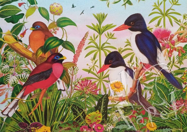 GT Ansichtkaart 'Tropische vogels'