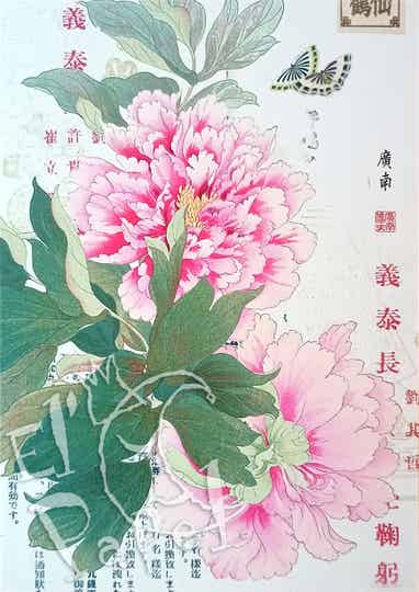 GT Ansichtkaart 'Pioenrozen'