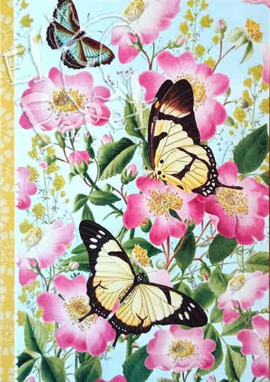 GT Ansichtkaart 'Vlinders in hondsroos'