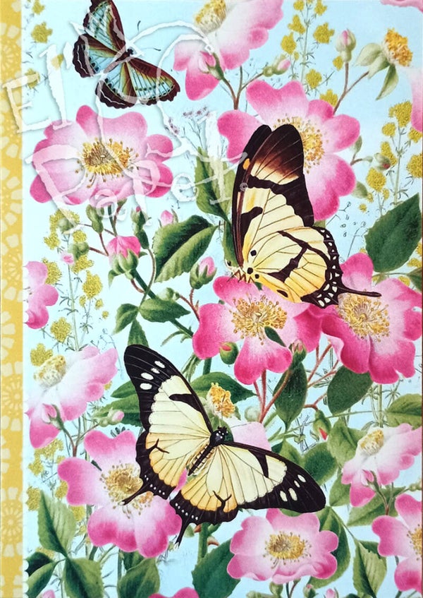 GT Ansichtkaart 'Vlinders in hondsroos'