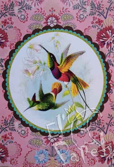 GT Ansichtkaart 'Kolibries'