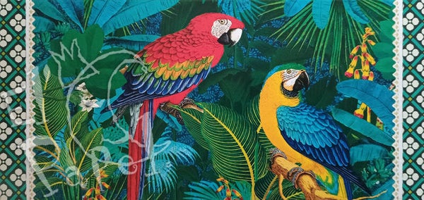 GT panoramakaart 'Papegaaien'