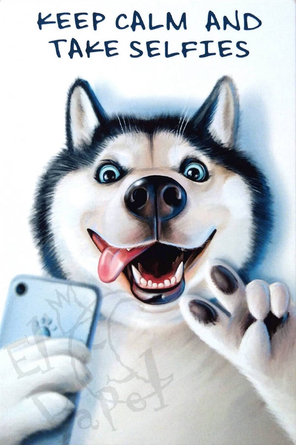 Ansichtkaart 'Keep Calm & Take Selfies'