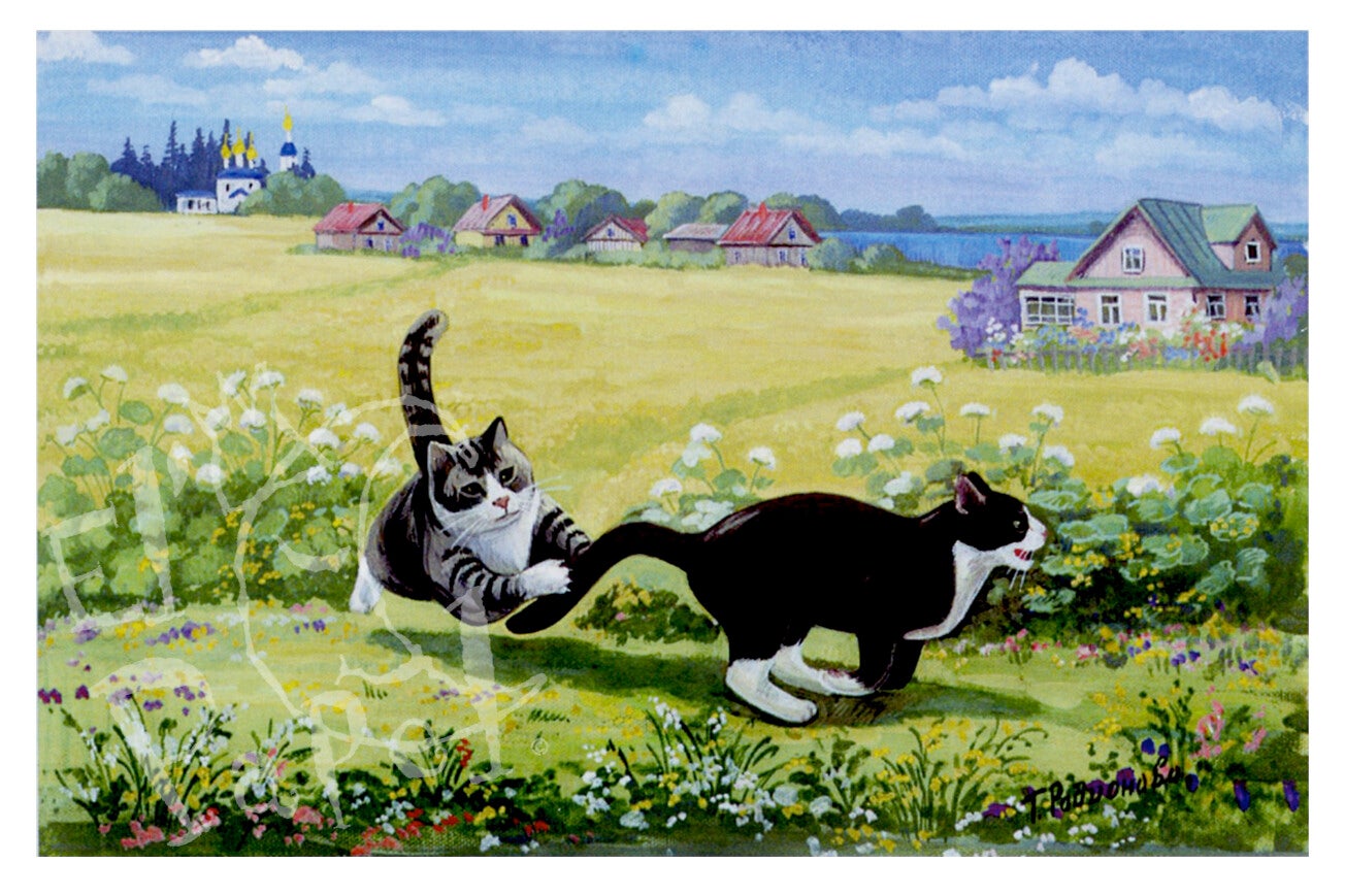 Ansichtkaart 'Pak me dan!'