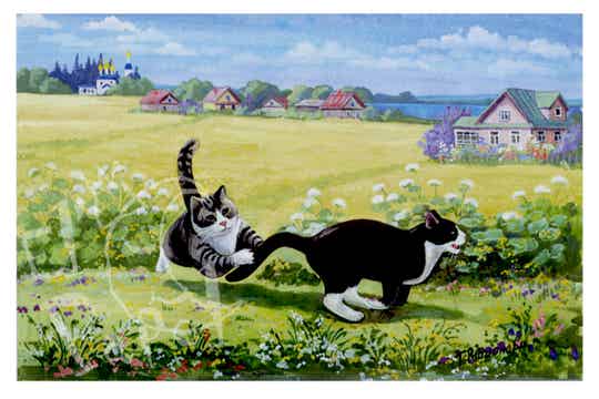 Ansichtkaart 'Pak me dan!'