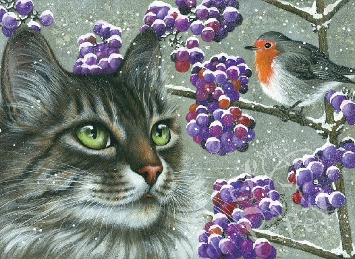 Ansichtkaart 'Mooi roodborstje'