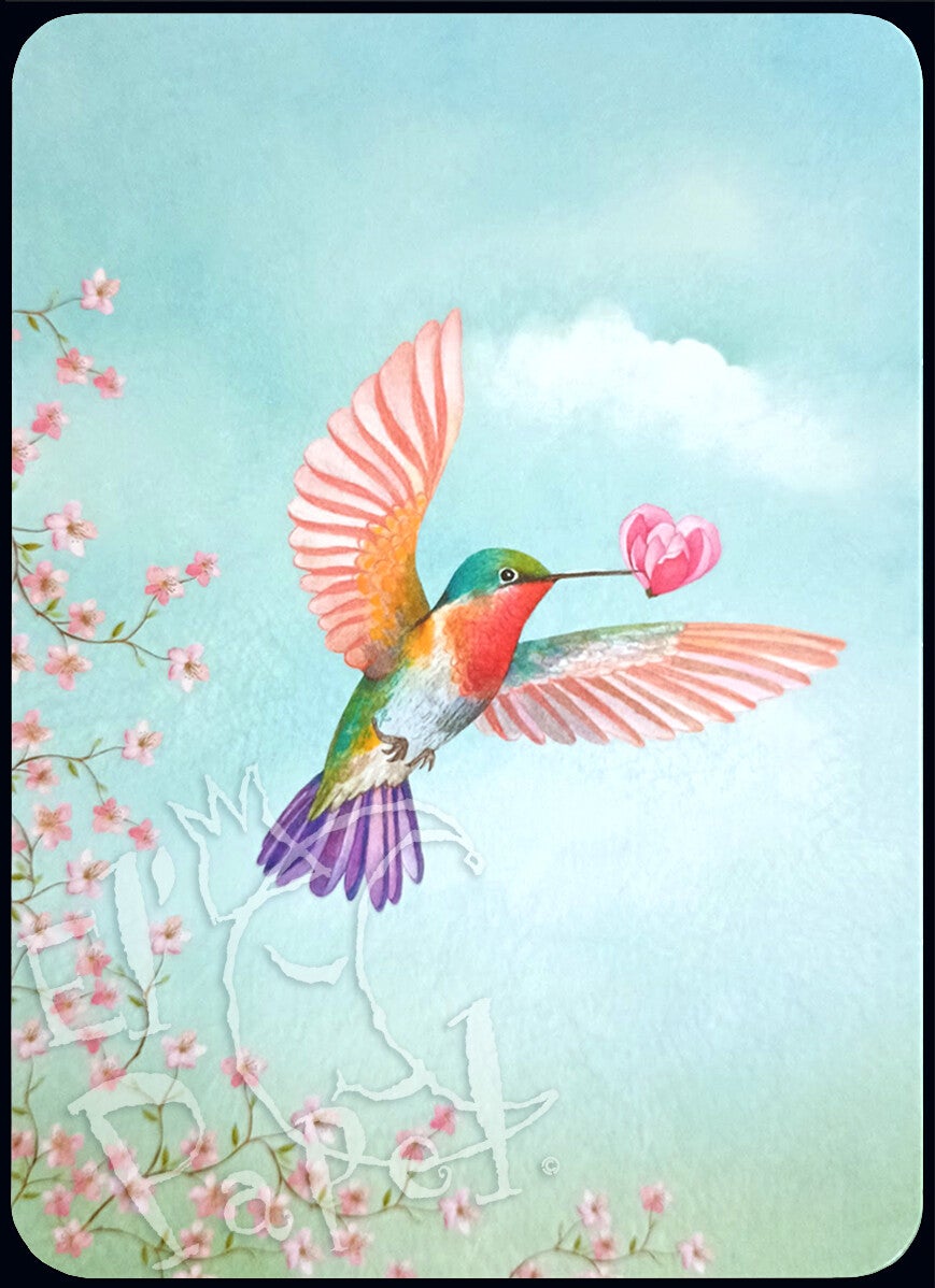 Ansichtkaart 'Kolibrie' - MM