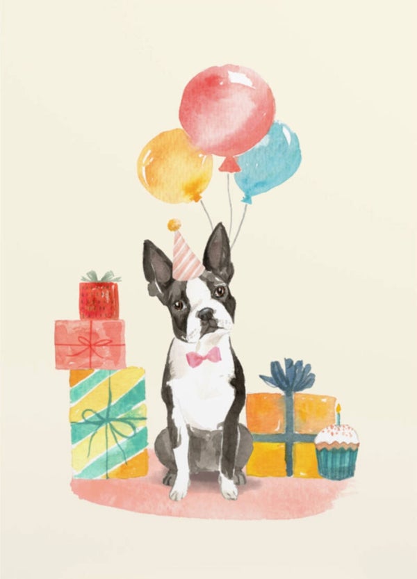 Ansichtkaart 'Gefeliciteerd! ' - hond