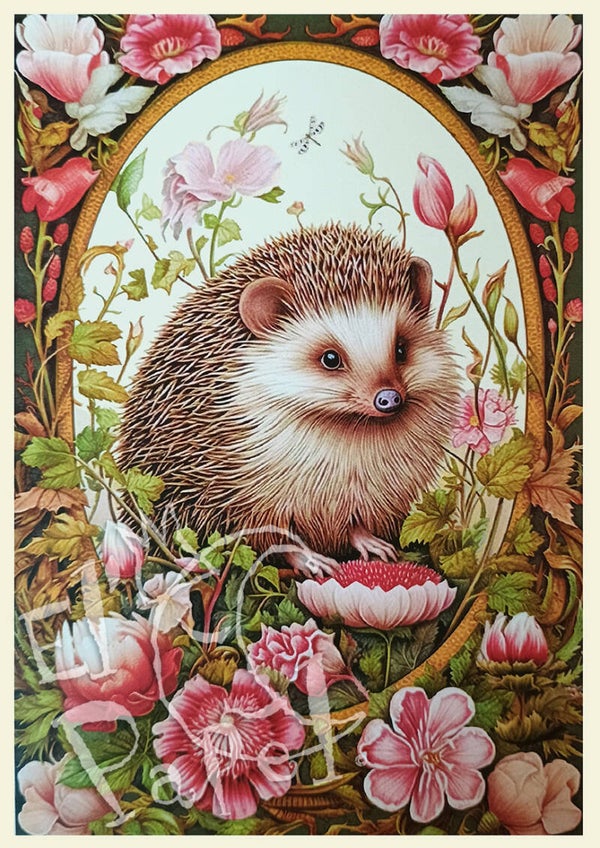 GT Ansichtkaart 'Egel'
