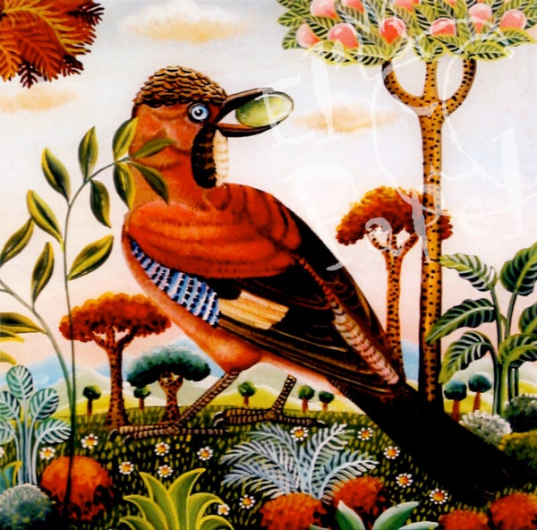 OP!! Vierkante kaart 'Vlaamse Gaai'