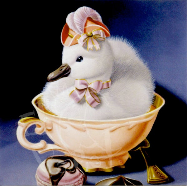 Illustratiekaart 'De zwaan'