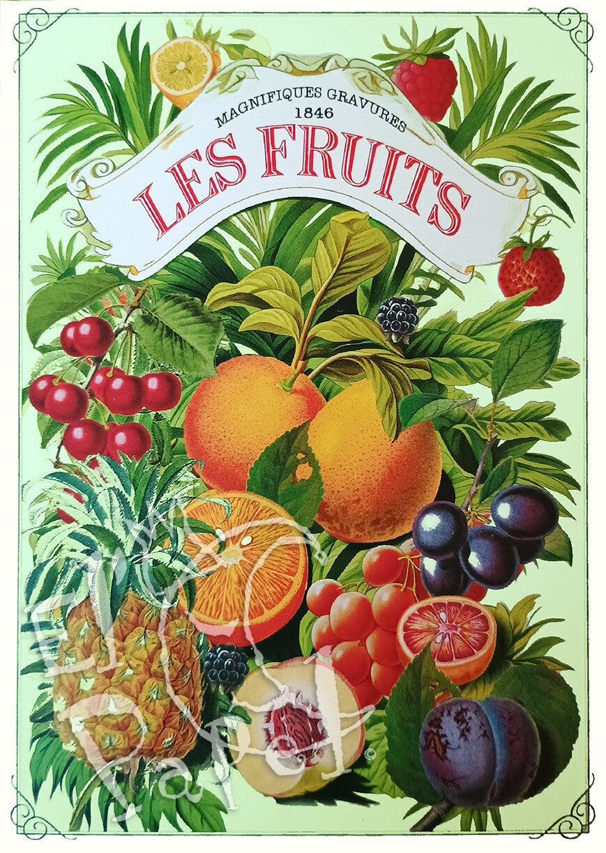 GT Ansichtkaart 'Retro fruitreclame'