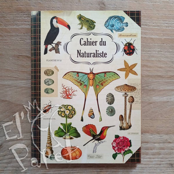 Gwenaëlle Trolez notitieboek 'Schrift van een natuuronderzoeker'