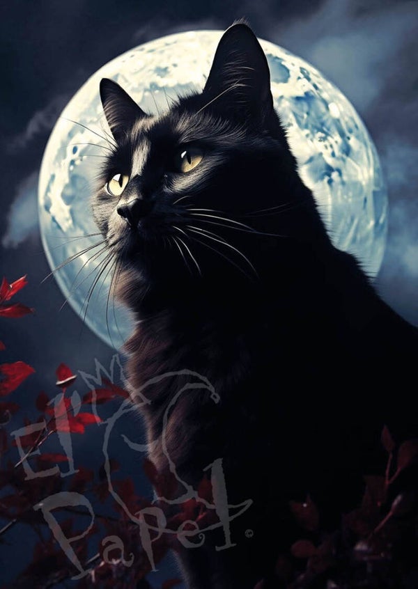 Ansichtkaart 'Zwarte kat bij volle maan'
