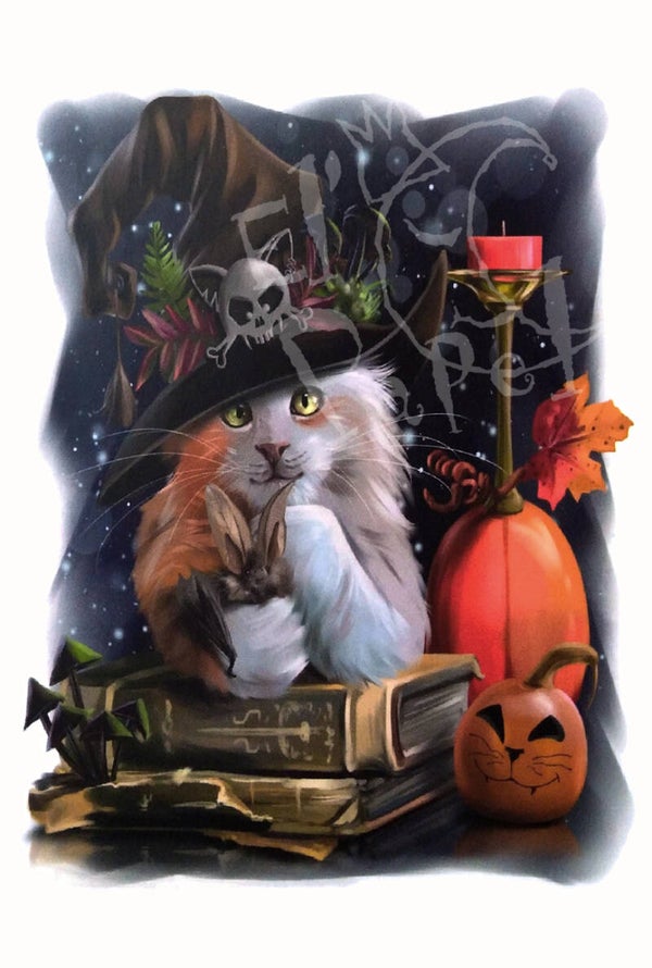 Ansichtkaart 'Magische kat'